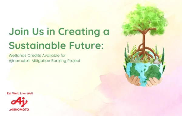Join us in creating a sustainable future: Wetland Credits Available for Ajinomoto's Mitigation Banking Project
