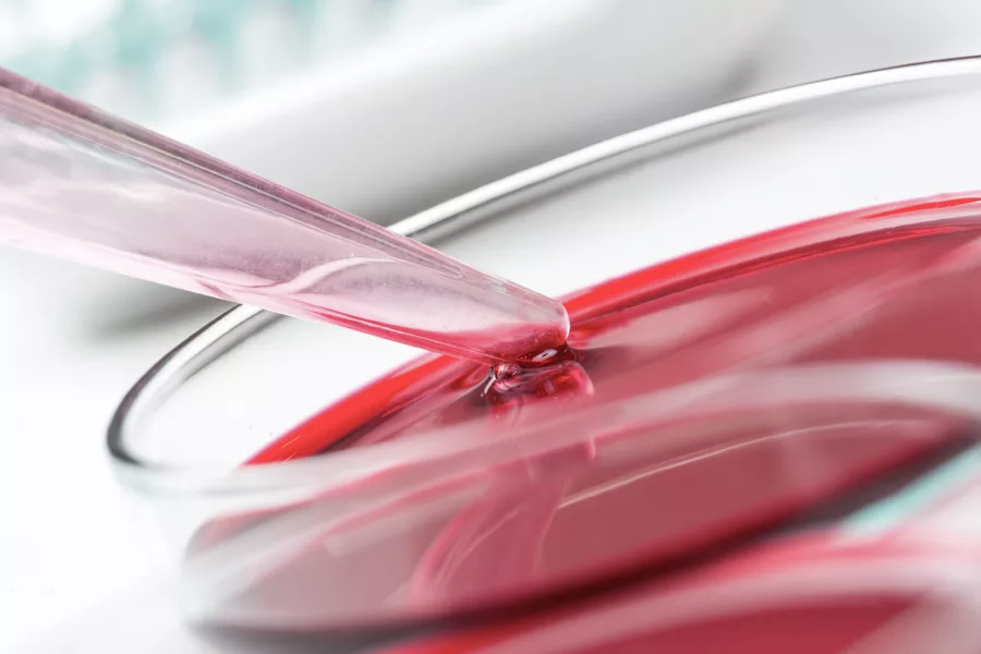 A pipette dispensing red liquid into a clear petri dish.