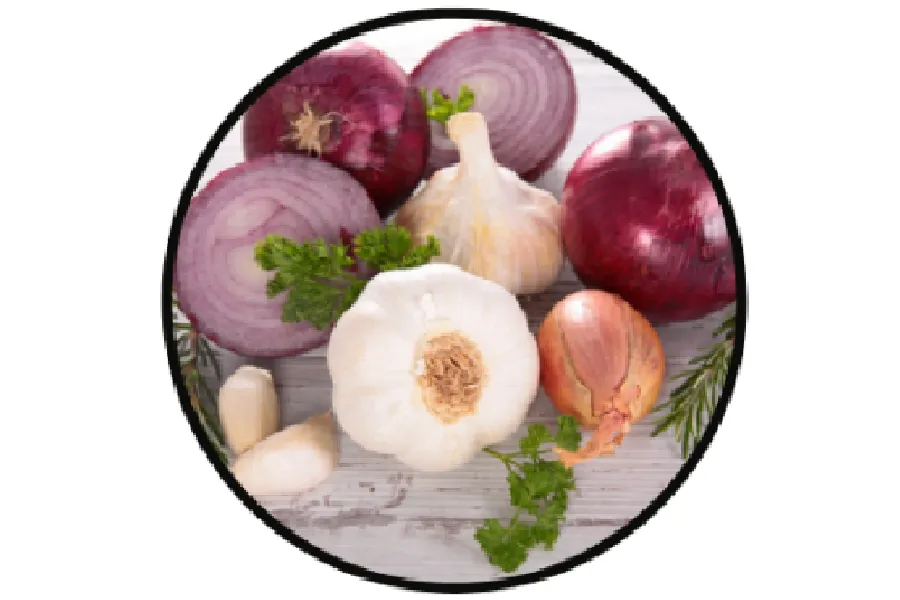 Whole and sliced red onions, garlic bulbs, garlic cloves, parsley, and rosemary arranged on a light wooden surface inside a black circle.