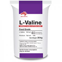 L-Valine-Featured-Product-Rectangle-Image